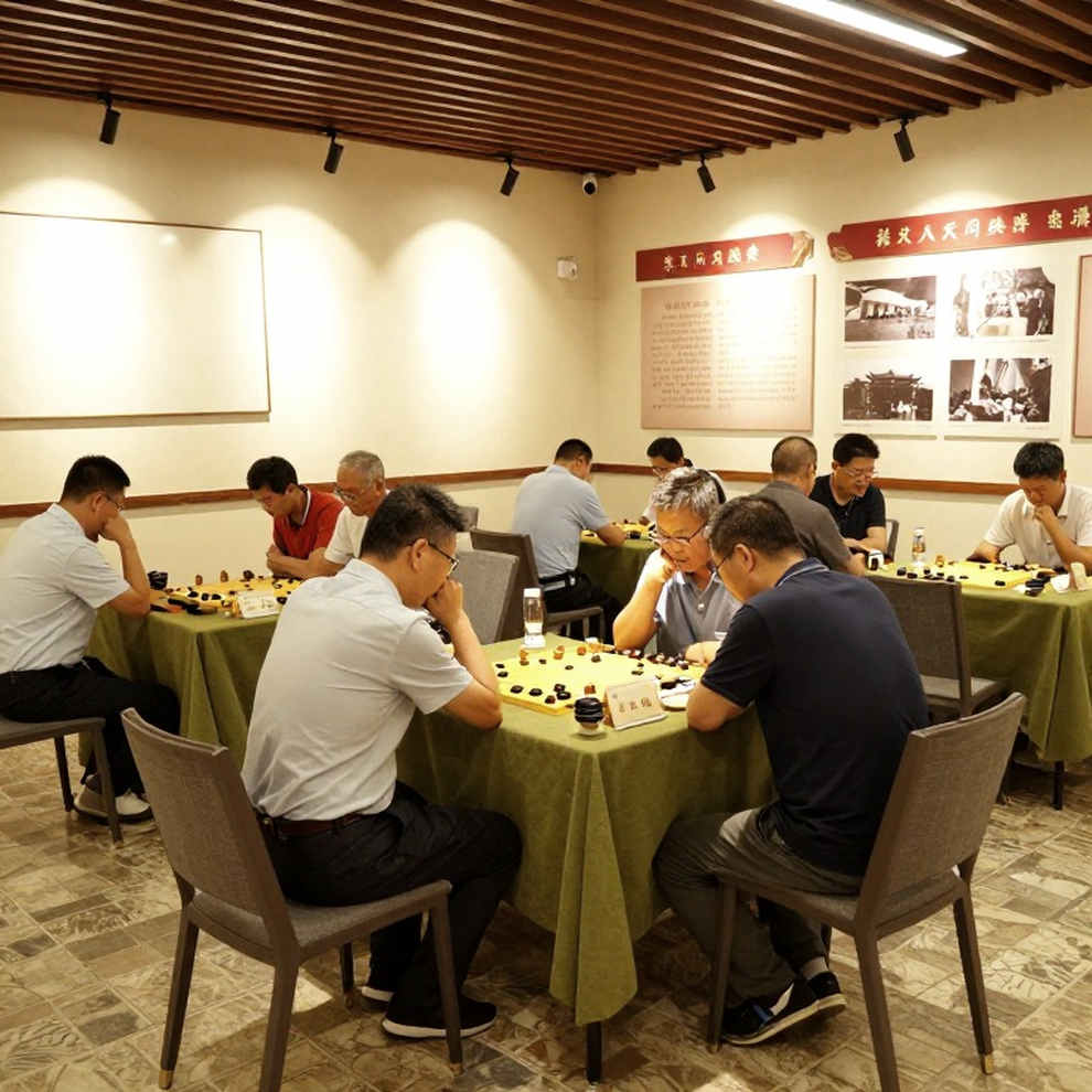 ৯...a5, 'ChessMom' এবং প্রমাণের খাতা: একটি কিংস ইন্ডিয়ান ডিভিডির হিসাব
